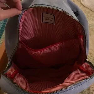Herschel X Madewell Backpack. Excellent condition. madewell-bright-hyacinth-  main image 3